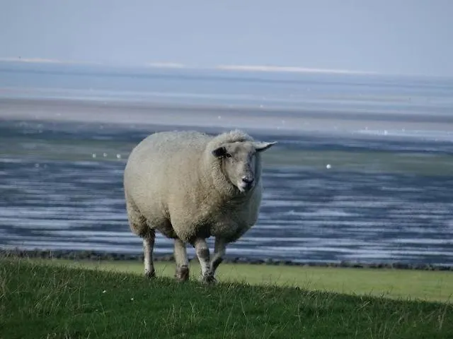 Vakantiehuis Deichkate Nordstrand
